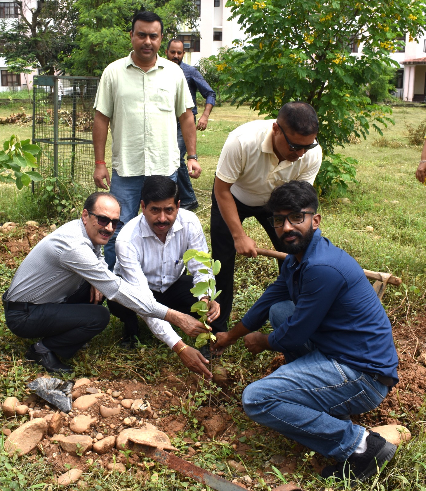 Plantation Drive